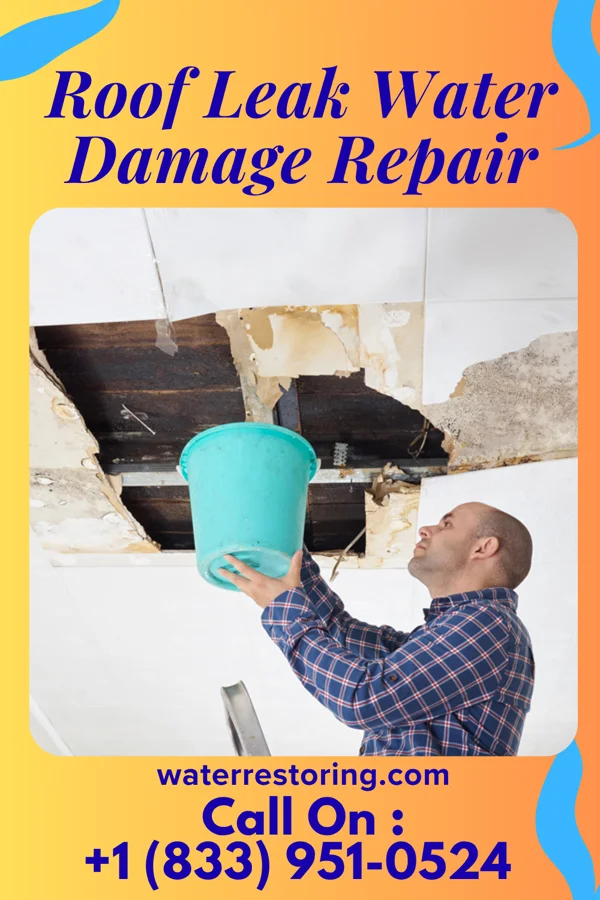 Roof Leak Water Damage Repair in New Rockport Colony, MT
